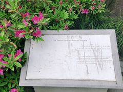 -杭州半山国家森林公园