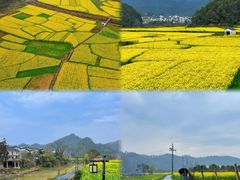 -篁岭景区