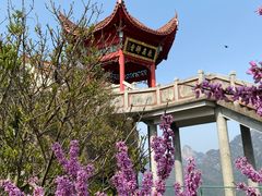 -九华山风景区-东崖禅寺