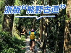 -天目山大树王景区