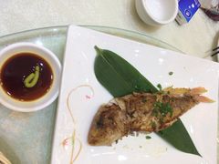 东豪园林海鲜酒家-东豪园林海鲜酒家(南港路辅路店)