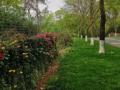 -天目湖涵田度假村