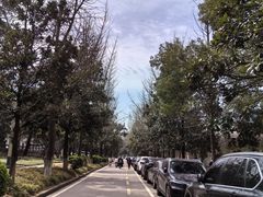 -武汉大学-樱园