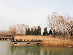 -古塔公园