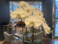-广州文华东方酒店·悦铂尼西餐厅