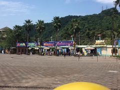 -重庆海昌加勒比海水世界