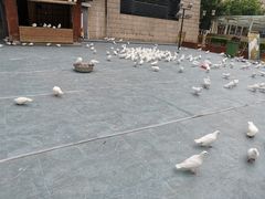 -中影国际影城(大唐西市4K临境音店)