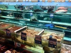-强记海鲜·大排档(蛇口新街店)