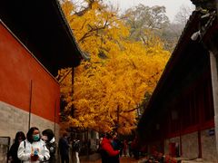 -大觉寺-停车场