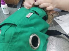-宠颐生斯嘉宠物医院·急重症·心内科(谷阳北路分院)