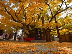-浮来山风景区