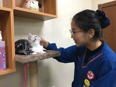 -康乐宝动物医院