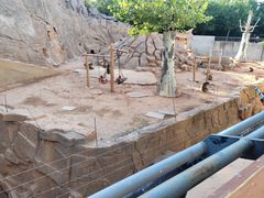 -辛玛王国游乐园