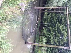 iphone_upload_pic-溱湖国家湿地公园