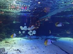 -凯德广场(学府店)