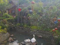 -青城甲(青城山店)