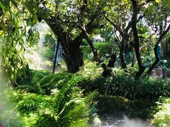 -Chom Cafe and Restaurant