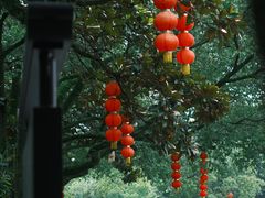 -蒋氏故居