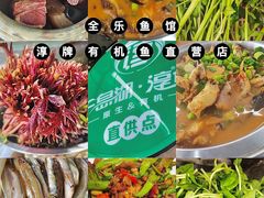 -全乐鱼馆·淳牌有机鱼直营店