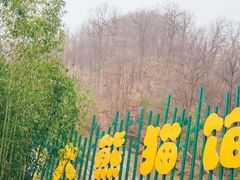 -栾川竹海野生动物园