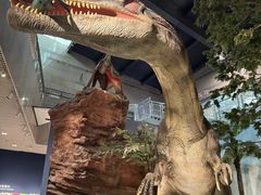 -湖南省地质博物馆