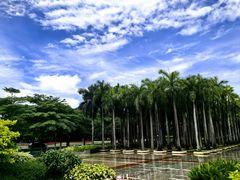 -深圳国际园林花卉博览园