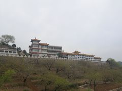 -天津金海湖