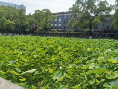 -四川大学(望江校区)