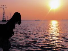 -宝安西湾红树林湿地公园