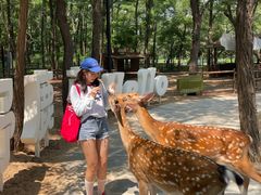 -南戴河国际娱乐中心