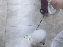 -美联众合动物医院·24h转诊中心