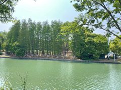 -白塘生态植物园