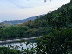 -九龙潭景区