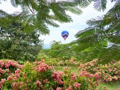 -中国科学院西双版纳热带植物园
