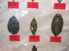 -一慈茶馆(雨田馆)