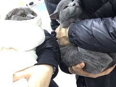 -达爱动物医院·犬猫分区·CT·复杂眼科(远洋山水分院)