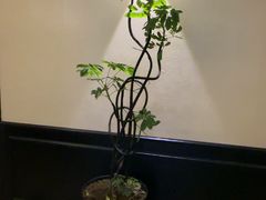 -涟LIAN·泰式按摩·MASSAGE·SPA(深业上城店)