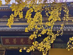 -西园戒幢律寺