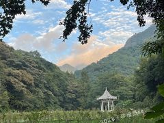 -广州市石门国家森林公园