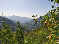 -大岭沟猕猴桃谷风景区