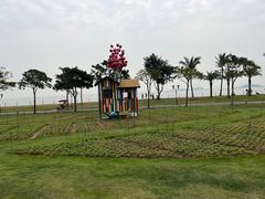 -野狸岛