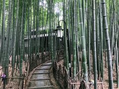 -宝岩生态观光园