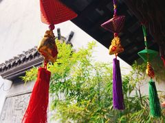-真真老老(月河花鸟市场店)