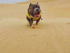 -亿利库布其七星湖沙漠生态旅游区