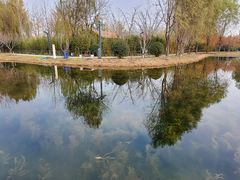 -东郊湿地公园
