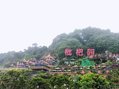 -枇杷园食为鲜火锅(南山店)