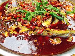 贡椒鱼-小饕荟雅安贡椒鱼鲜馆(广福桥店)