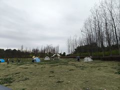 -两河城市森林公园