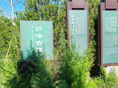 -阳台山自然风景区