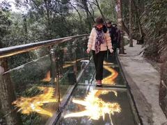 -九龙江国家森林公园